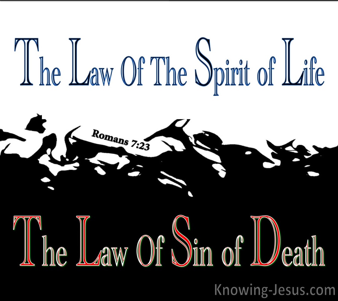 Romans 7:23 The Law of Sin (blue)